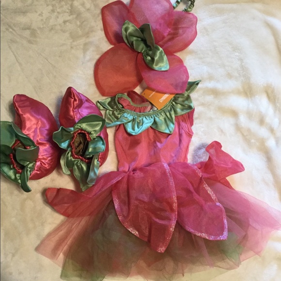 Ensemble Gymboree Jungle Gem - Taille 7 - Short Et Top Floral - Neuf Avec étiquettes